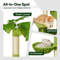 Meecal Cat Tree double condos offer private napping zones for kittens.