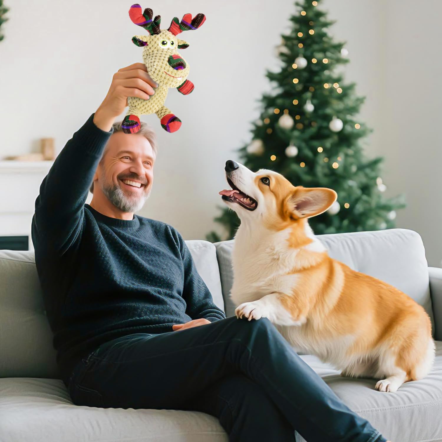MeetYooo indoor-outdoor versatile dog toy for fetch and training