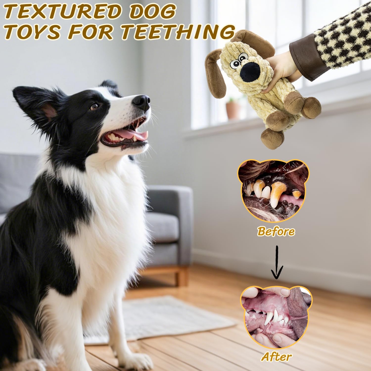 MeetYooo indoor outdoor play; versatile toys for home and park sessions.