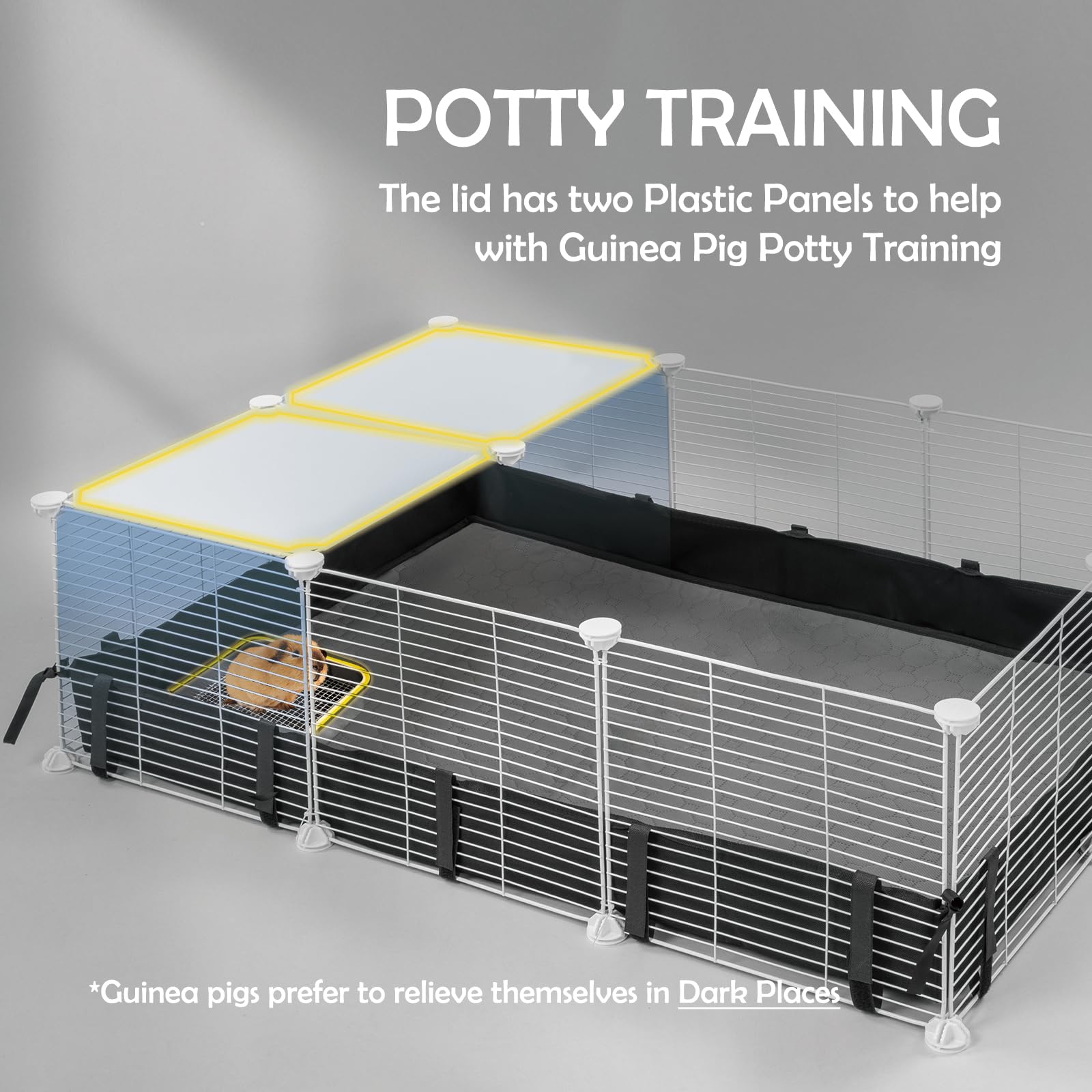 MEEXPAWS interior enclosure with pets demonstrates roomy space for exercise and exploration.