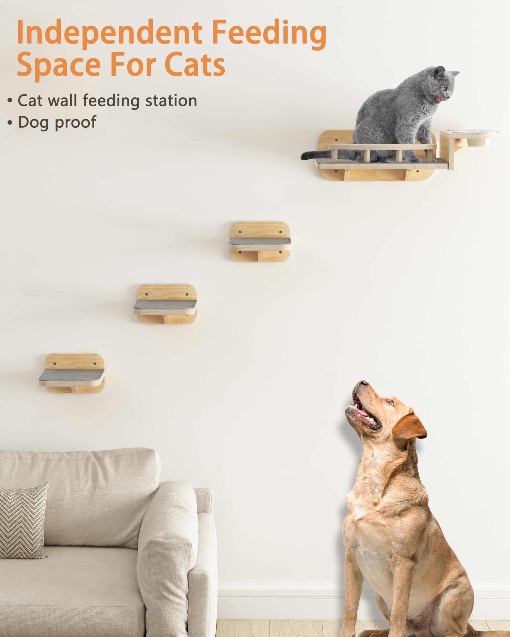 Megidok 304 stainless bowls are wide and whisker-friendly for comfortable eating.