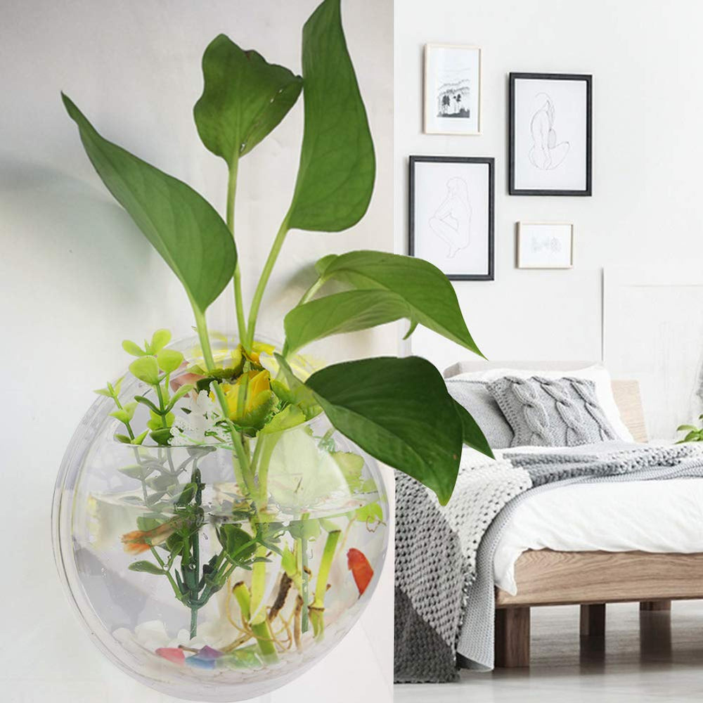 MeiBoAll hermit crab terrarium option showcases versatile housing.