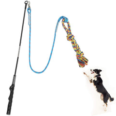 Meieke Flirt Pole in action, dog chasing the lure for active play.