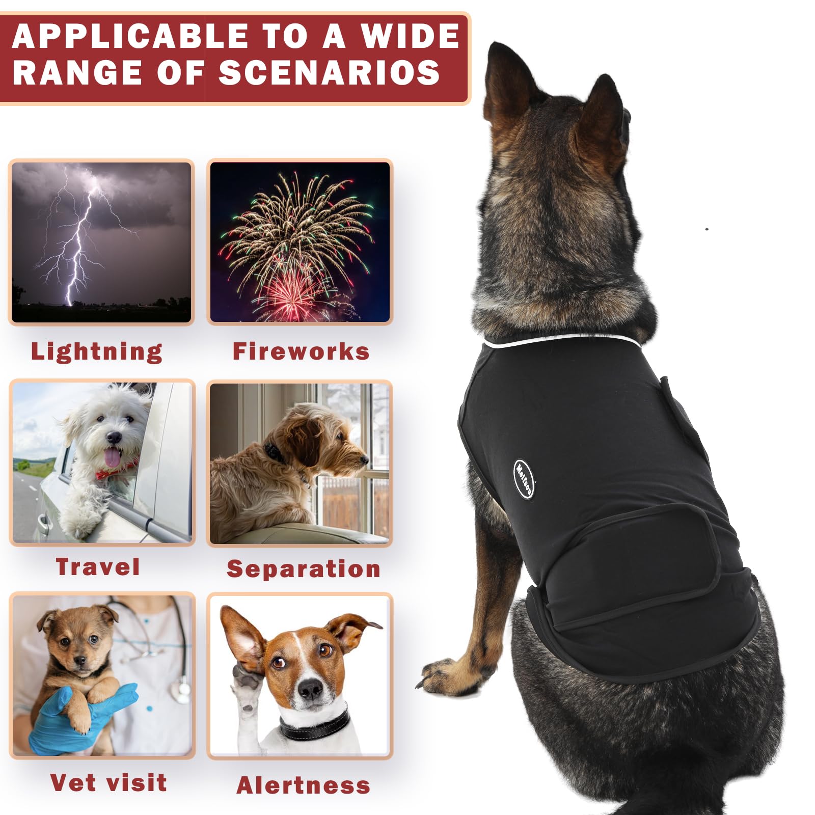 Meifsou dog anxiety vest on a dog during travel to reduce stress.