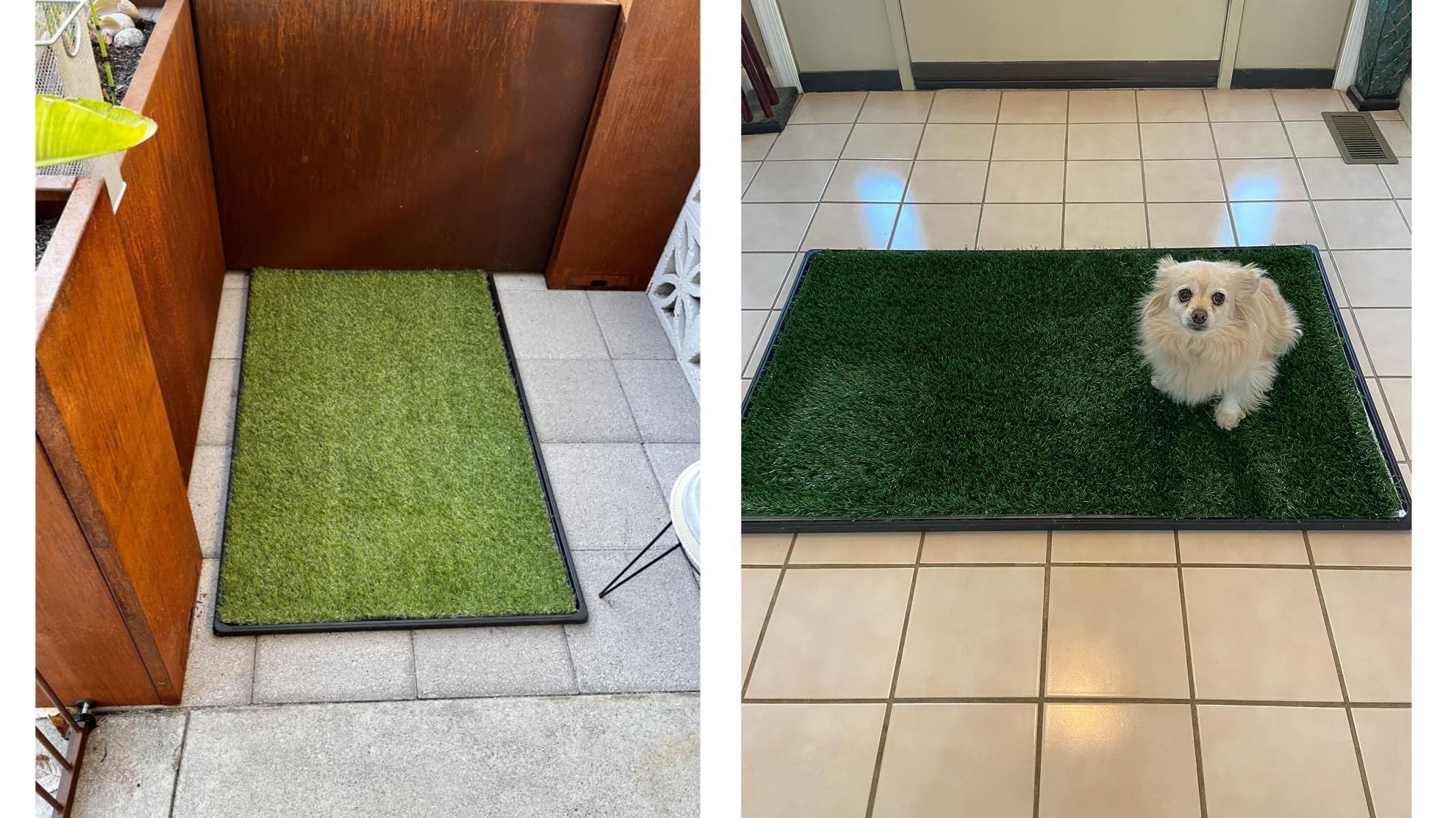 Meizhuang indoor dog potty setup on a living room floor