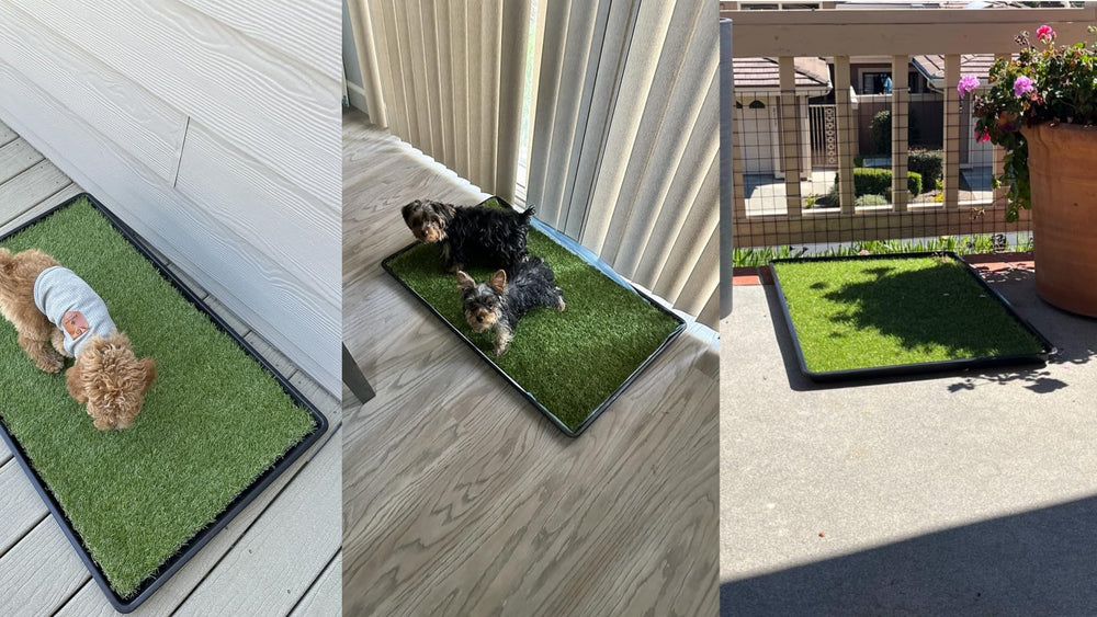 Meizhuang large dog potty grass 35x21-7 inches provides ample space