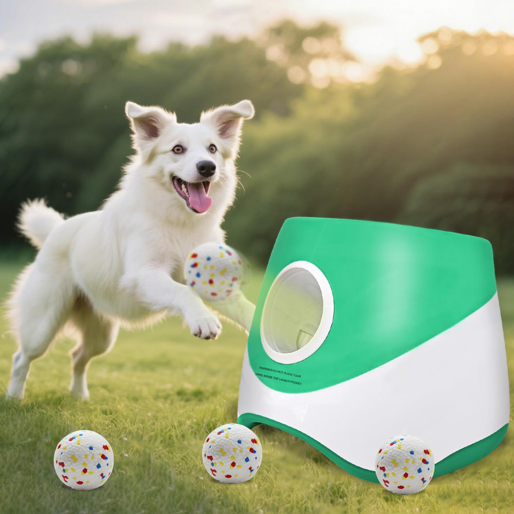 MEKAPLE automatic dog ball launcher in outdoor play for fun fetch sessions.