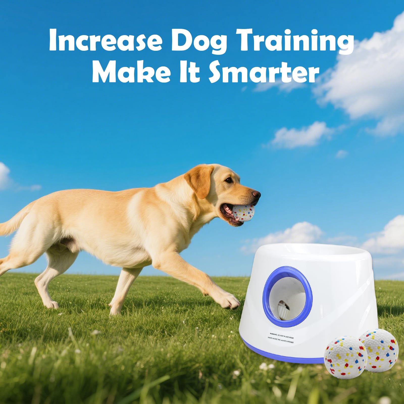 MEKAPLE dog-friendly setup supports fetch fun and owner interaction