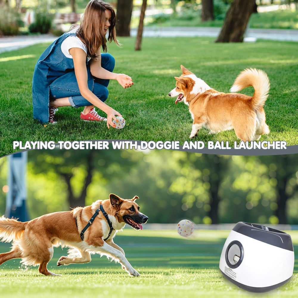 MEKAPLE outdoor playset image demonstrates interactive fetch for medium to large dogs.