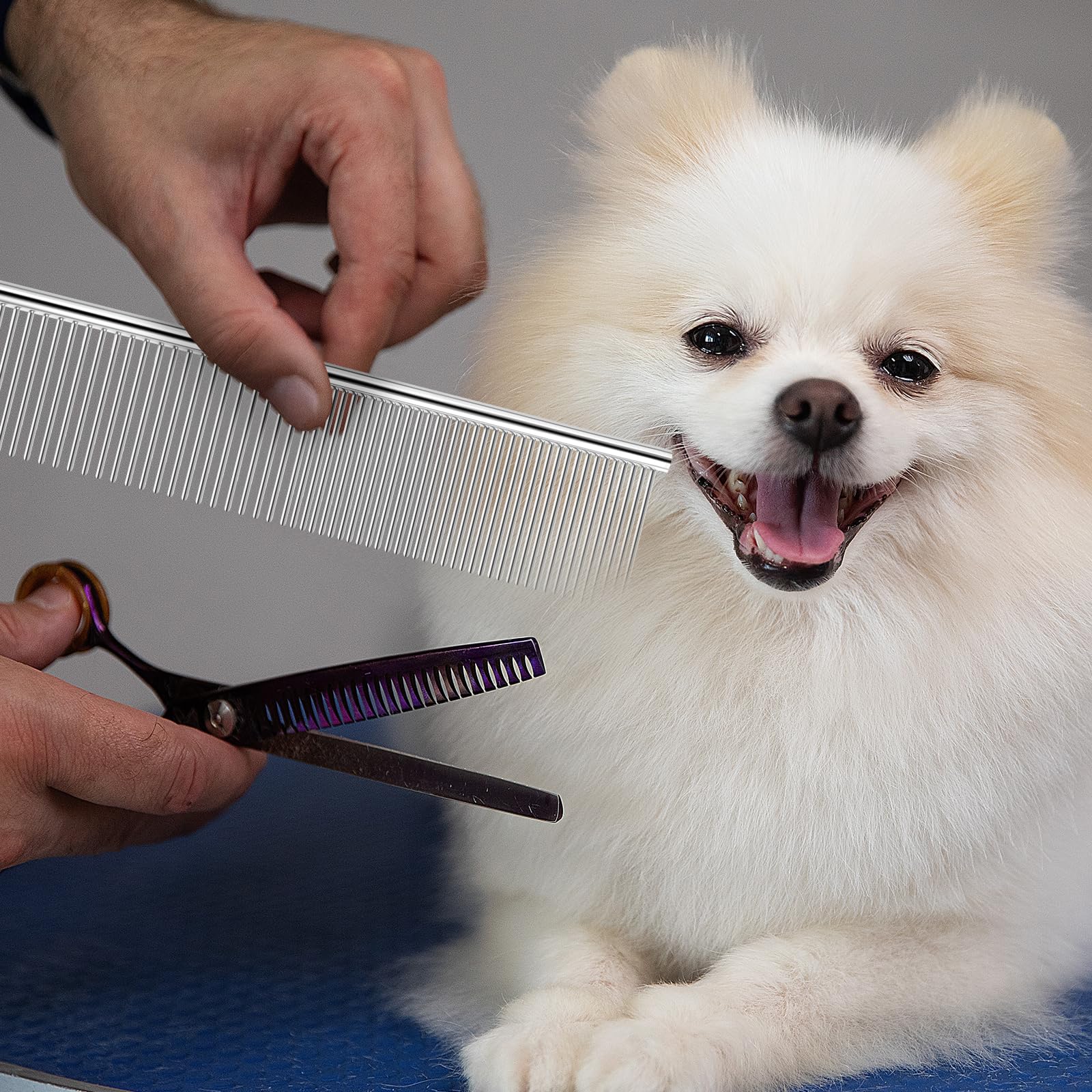 mekueeex 12-pack combs in use removing knots on a long-haired pet