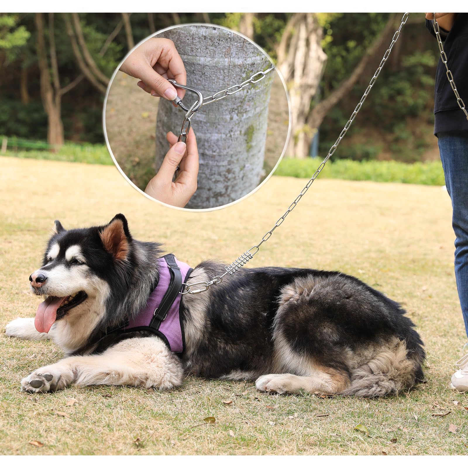 MELAIRON cadena ligera y portable ideal para viajar con tu perro