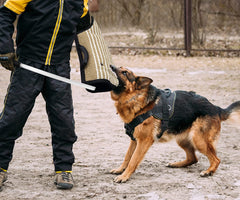 MelkTemn agitation-stick used for precise, stimulating drills.