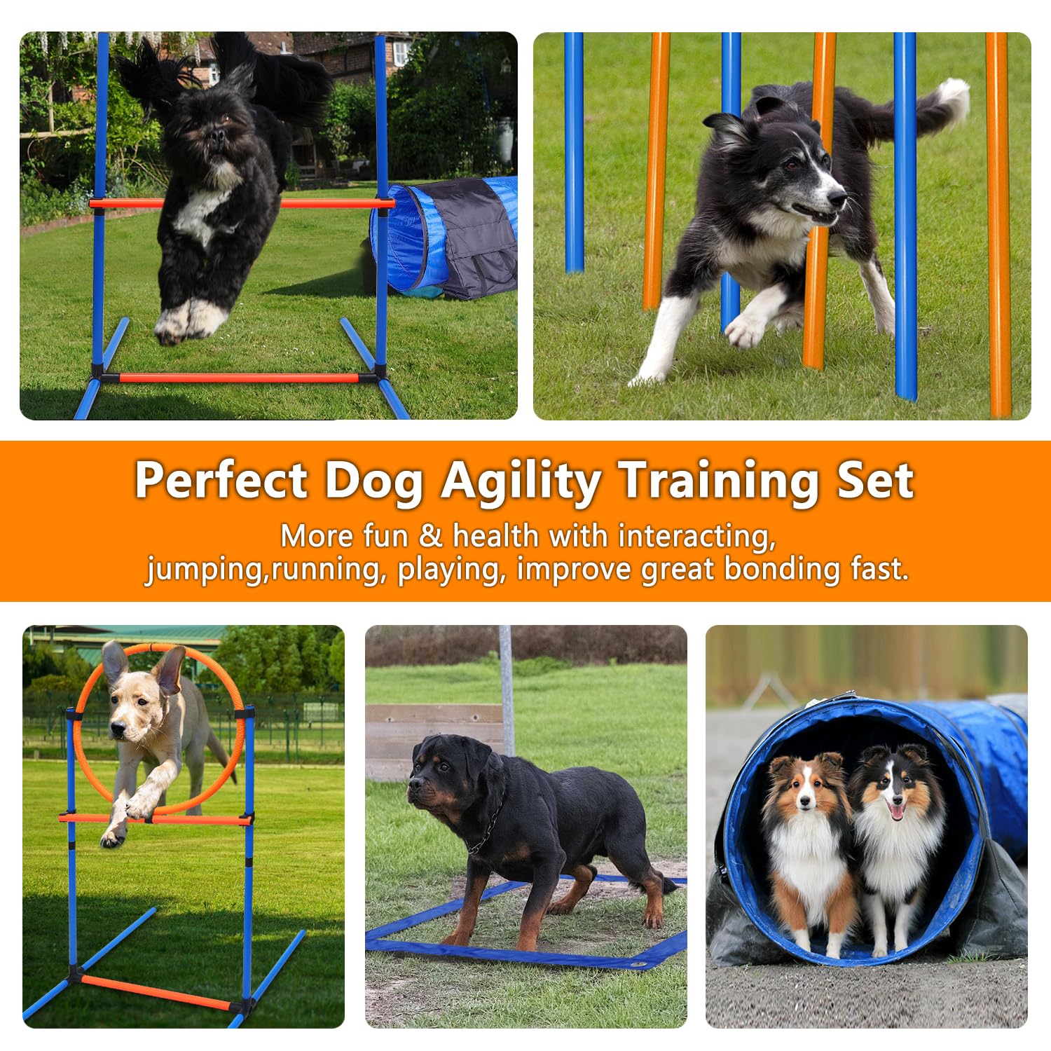 MelkTemn premium dog agility hurdle for outdoor training and progress