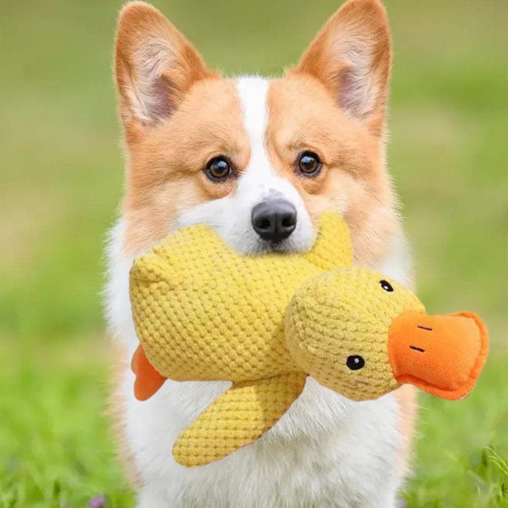 The Mellow Ducks yellow duck design encourages indoor fetch and companionship