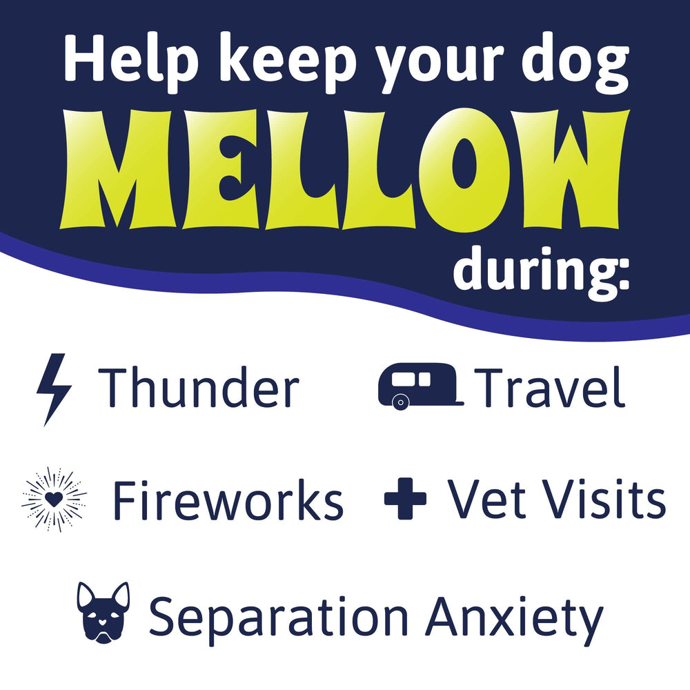 Mellow Shirt Cypress wrap chest-fit demonstrates secure calming coverage for dogs