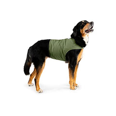 Mellow Shirt Cypress wrap on dog shows breathable fabric and simple on/off