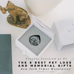 Memorialight crystal ornament with paw-print keepsake supports pet memory