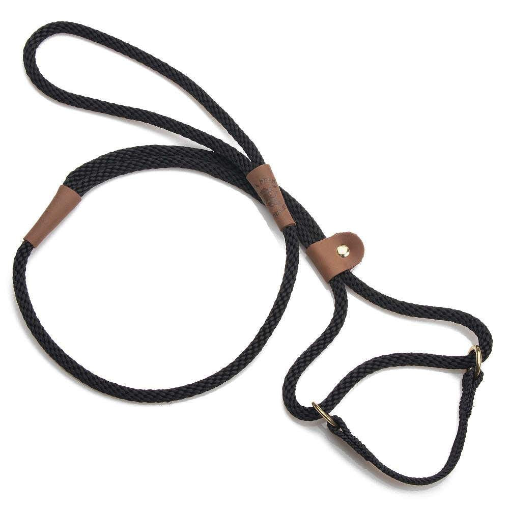 Mendota Pet Dog Walker with closed-loop martingale design for secure training and control.