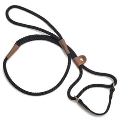 Mendota Pet Dog Walker with closed-loop martingale design for secure training and control.