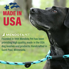 Mendota Pet Slip Leash brass hardware showcases durable, classic styling.