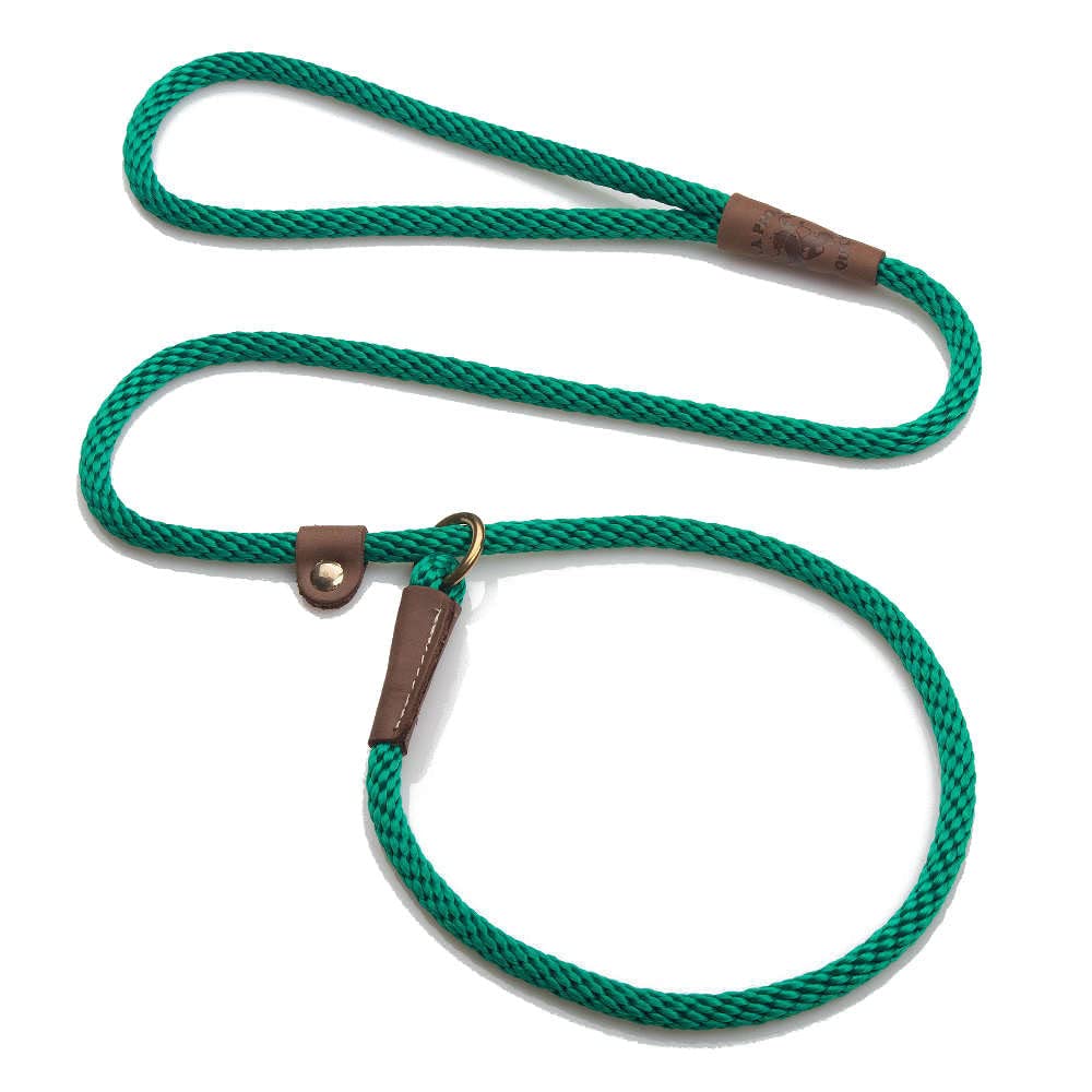 Mendota Pet Slip Leash in Kelly Green on a dog's neck for training control