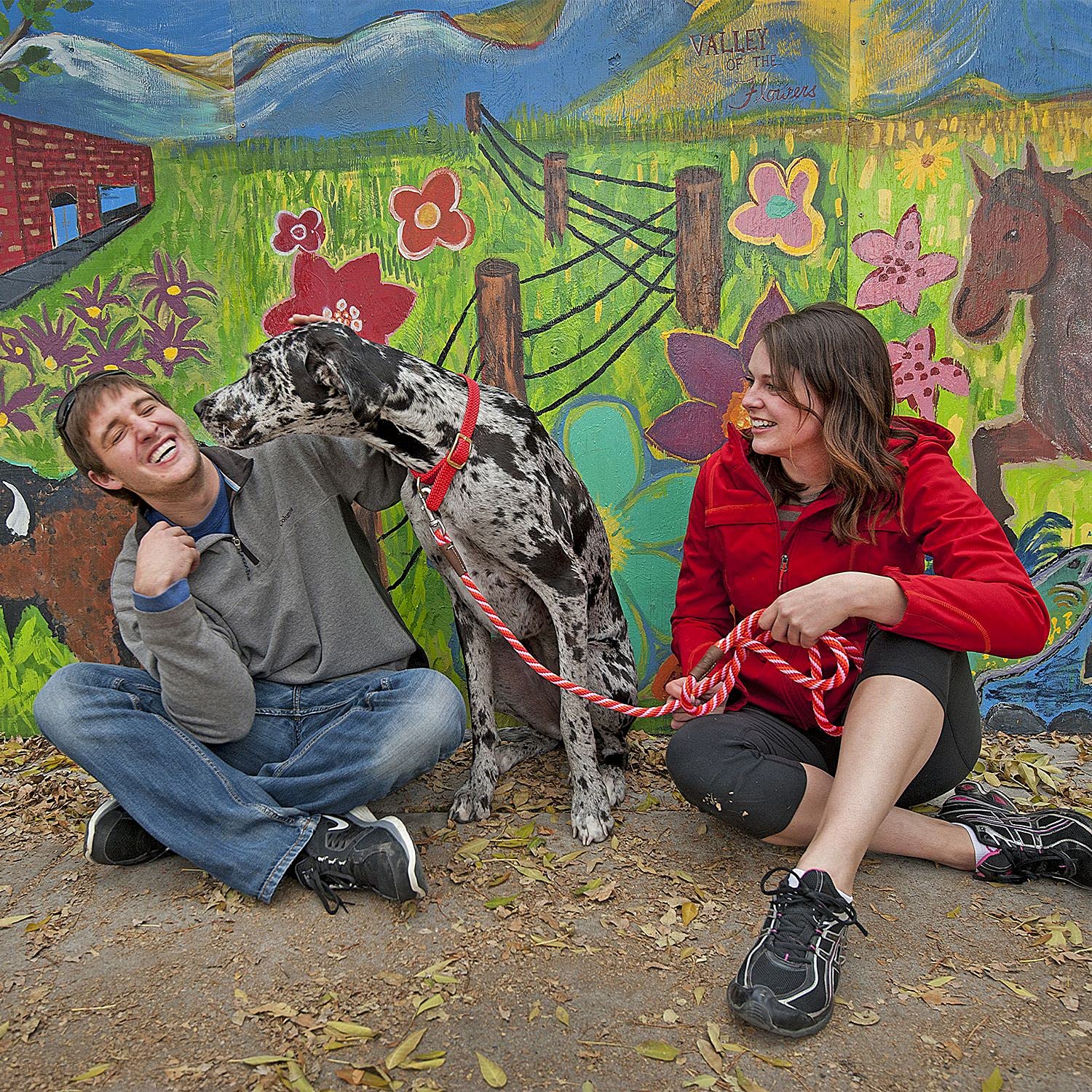 Mendota Pet Snap Leash has a brass snap that resists corrosion for long-lasting use
