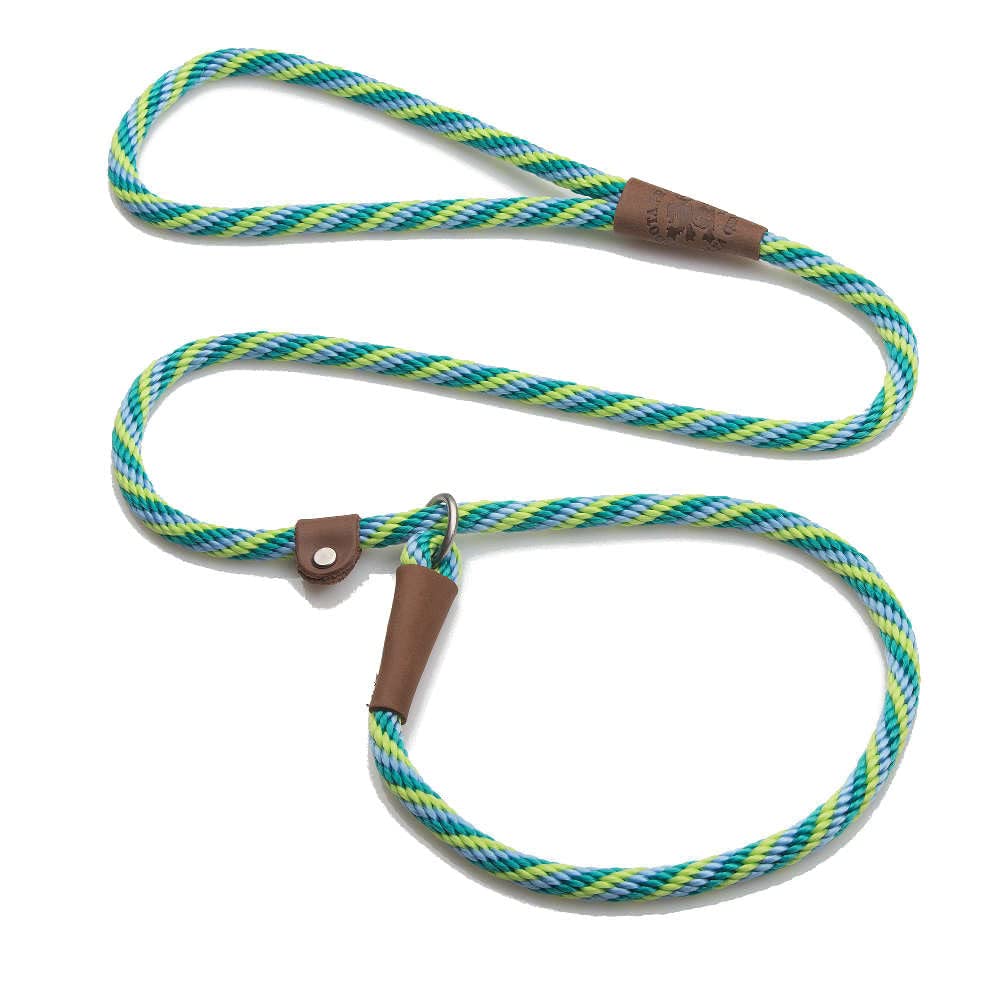 Mendota Seafoam Slip Leash 6ft in hand offers secure control during walks.
