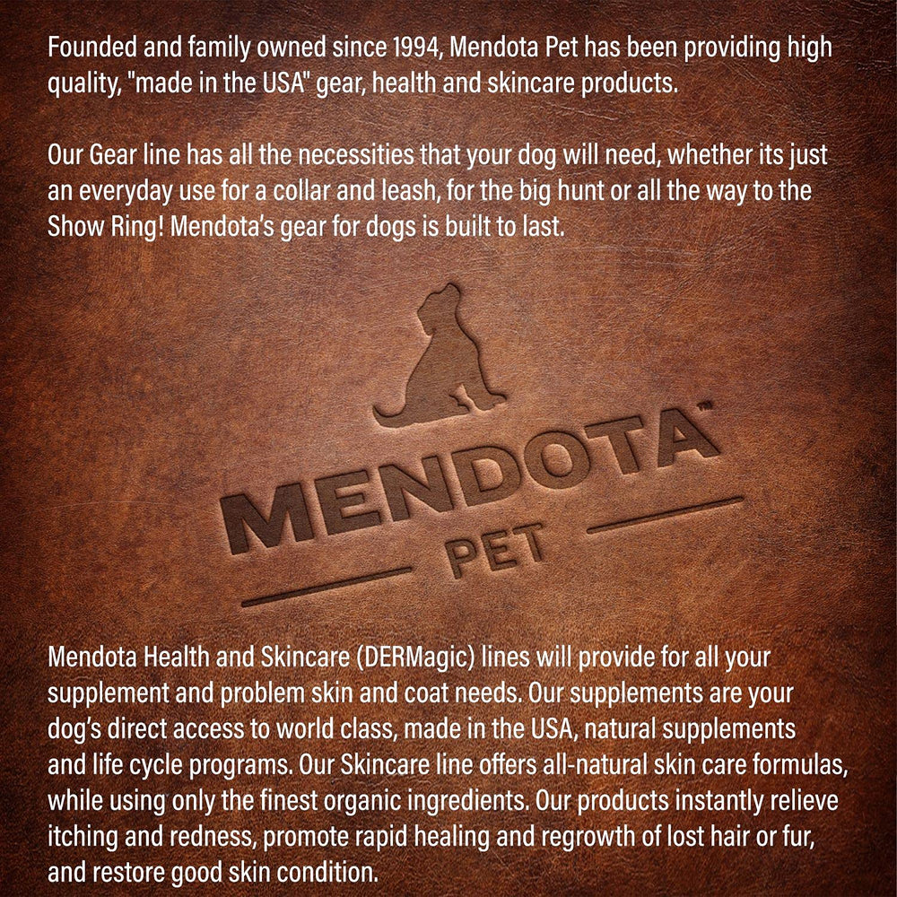 Mendota slip lead lilac small dog walking setup for simple transitions