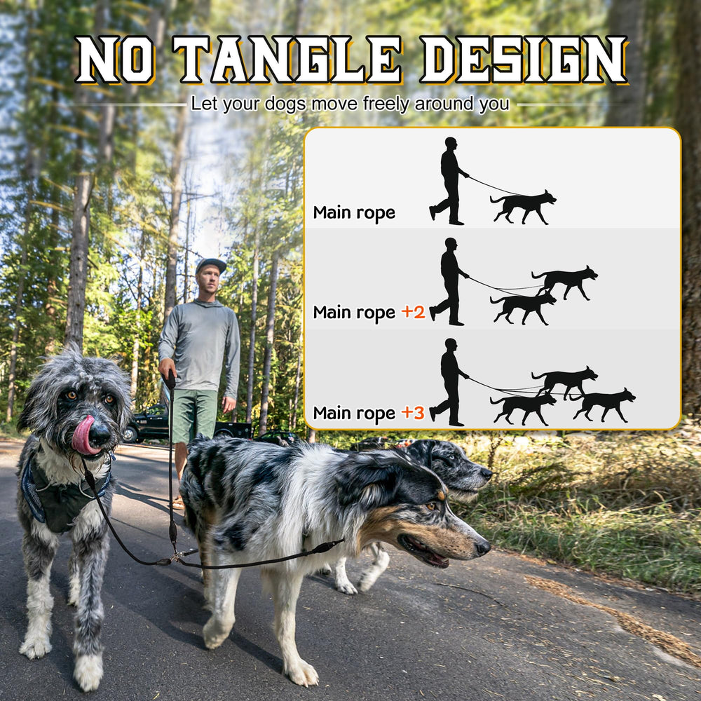 Mengbei tribe heavy-duty 3-dog leash assisting leash shows secondary lead for gradual training