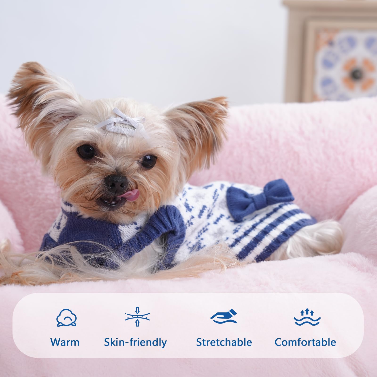 MengMengDa dog sweater blue on puppy wearing for holiday photos