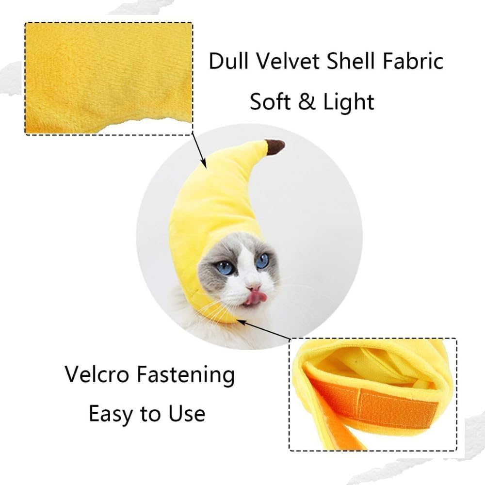 MenPetsonline bunny-ears cat hat enhances photos and cute occasion wear.