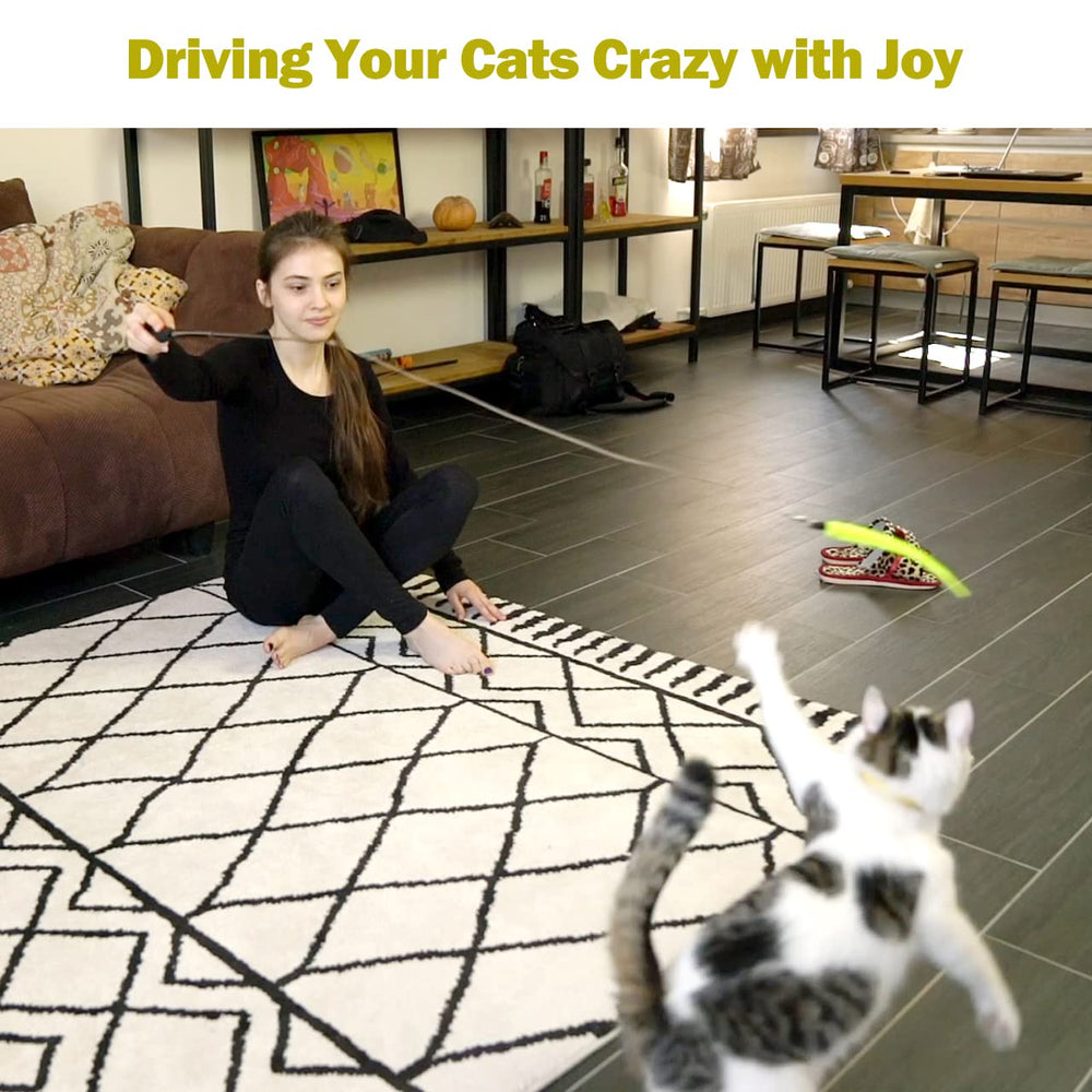MeoHui indoor cat playtime scene with wand toy for active bonding