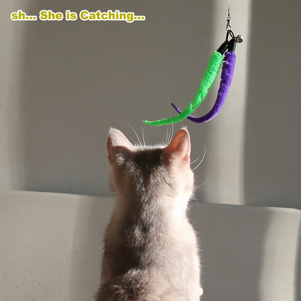 MeoHui teaser toy assembly shows quick setup and swapping possibilities