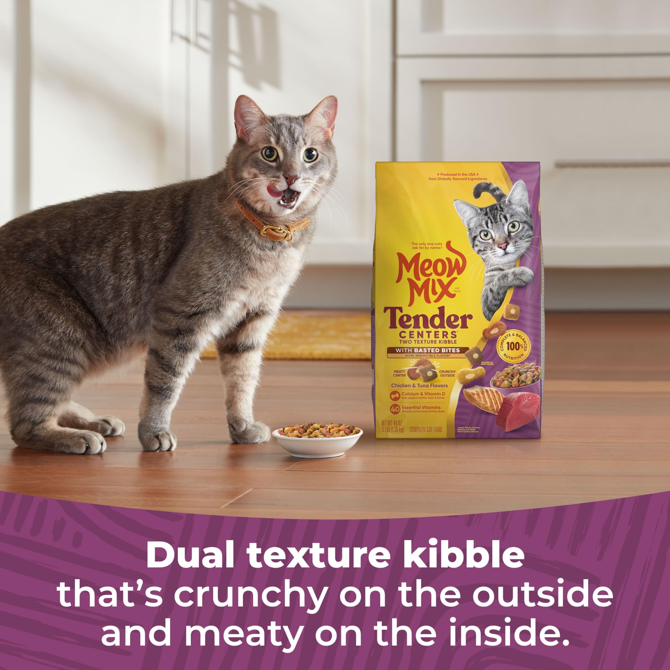 Meow Mix Chicken-Tuna flavor kibble demonstrates variety for adult cats.