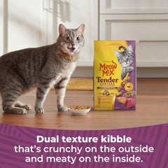Meow Mix Chicken-Tuna flavor kibble demonstrates variety for adult cats.