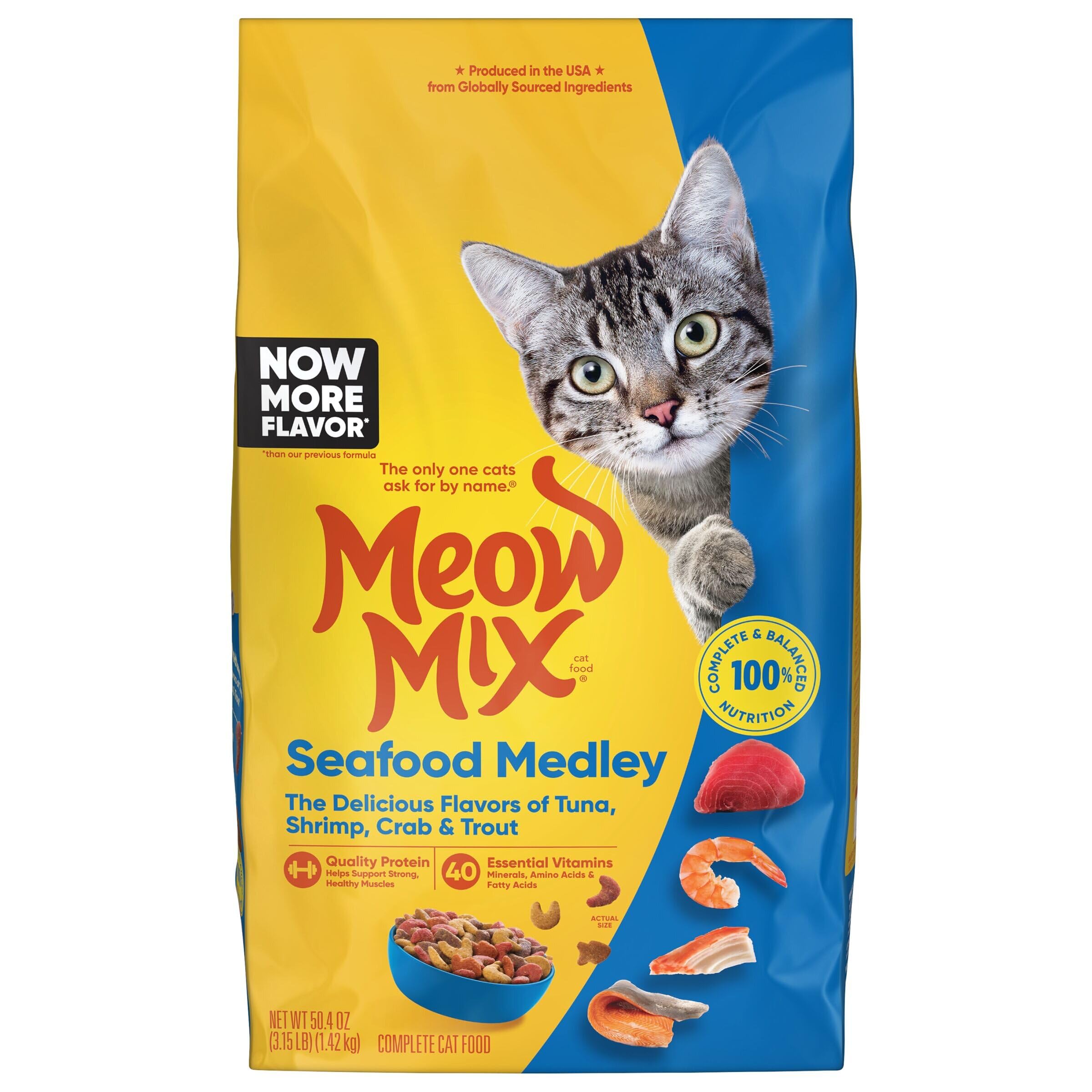 Meow Mix Seafood Medley dry kibble in a bowl highlighting a tasty, healthful meal for cats