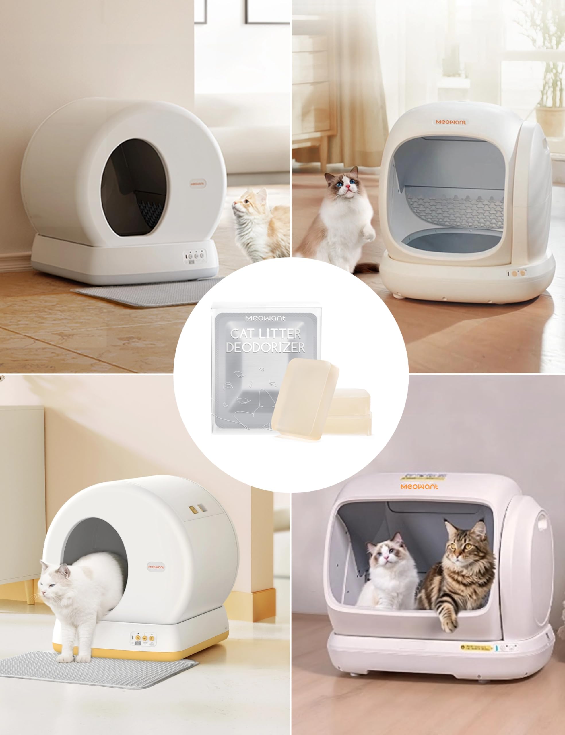 Meowant 30-day protection pack offers month-long litter box coverage.
