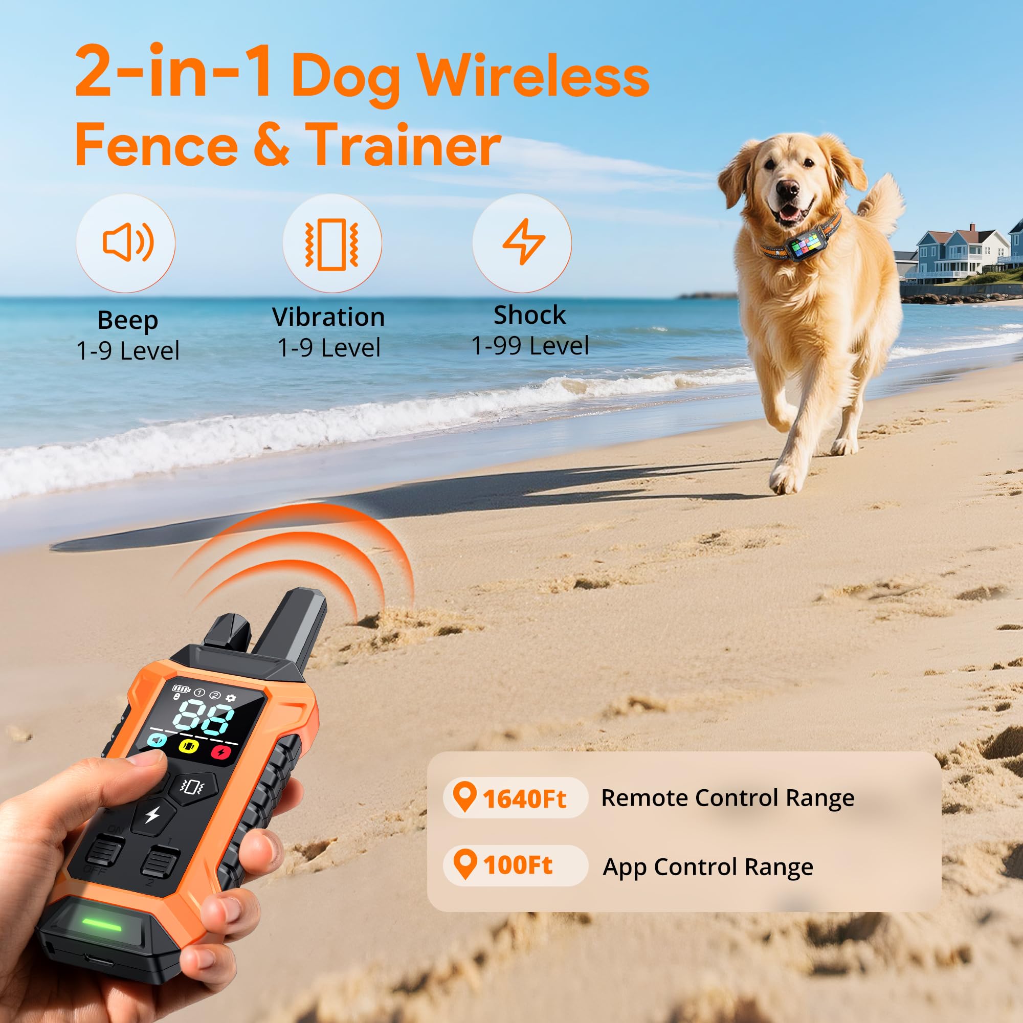 Meowant collar health-tracking emphasizes activity and well-being at a glance