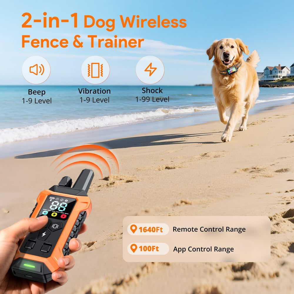 Meowant collar health-tracking emphasizes activity and well-being at a glance