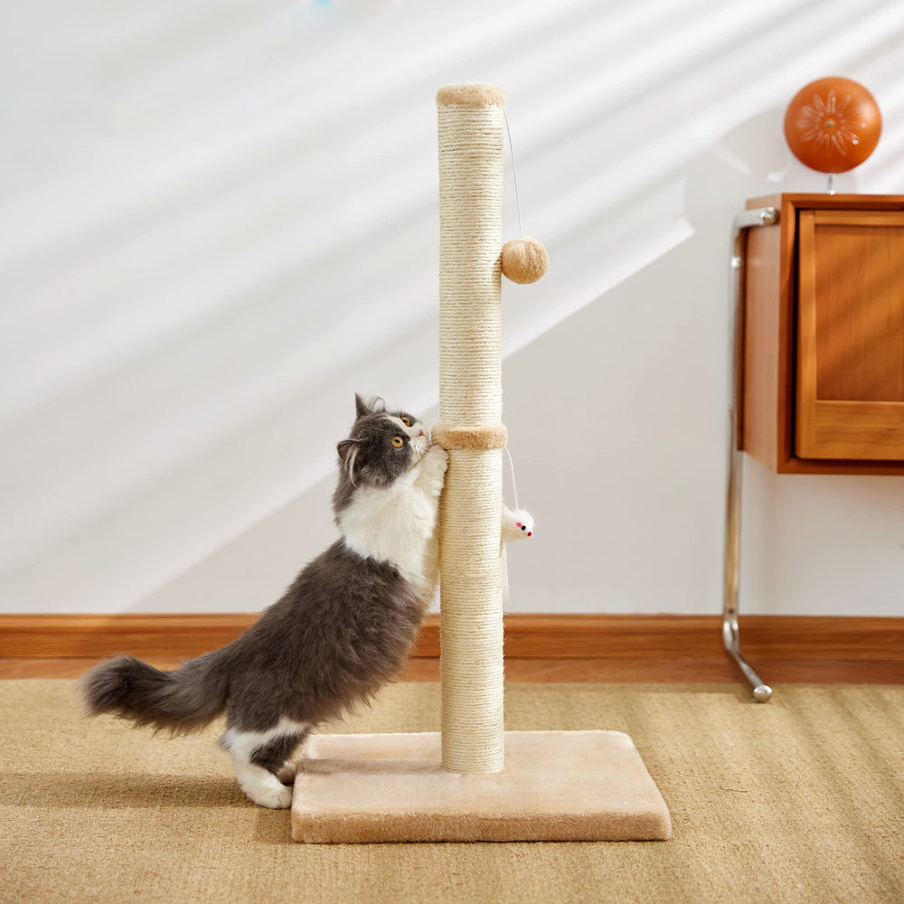 MeowHomm accessory kit includes everything needed for setup.