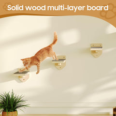 MeowHomm wall mount installation shows sturdy hardware for safe wall mounting.