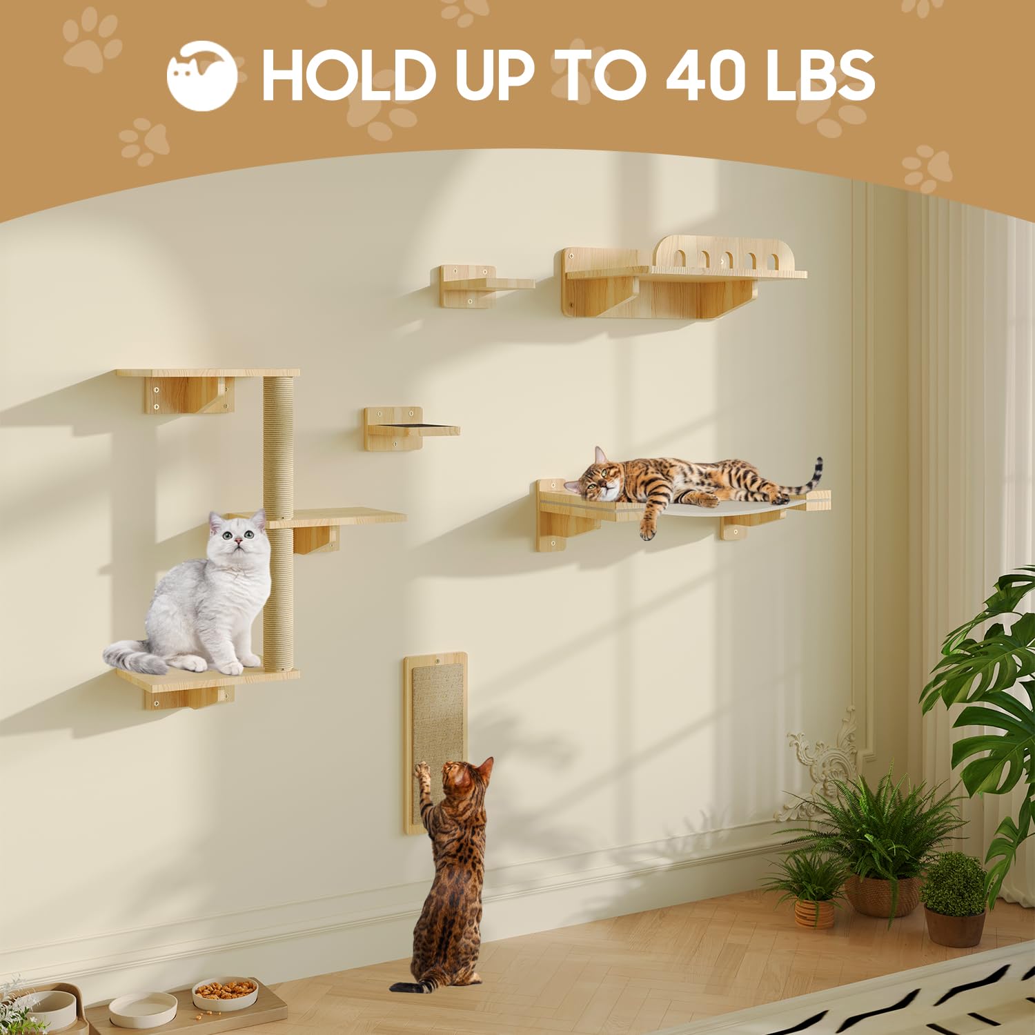 MeowHomm cat wall shelves hammock offers cozy resting spot with secure support and calm observing