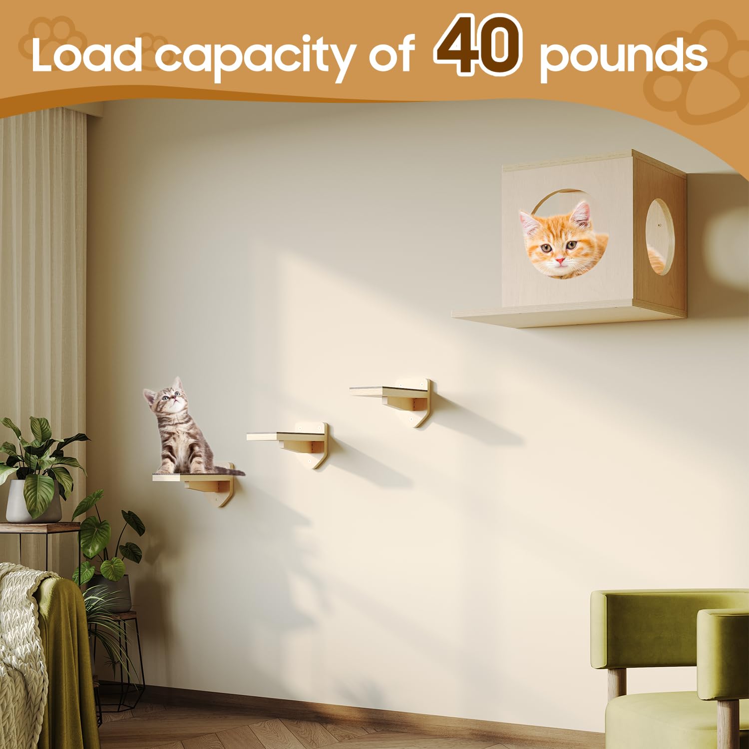 MeowHomm cat wall shelves multi-cat setup ideal for shared living spaces.