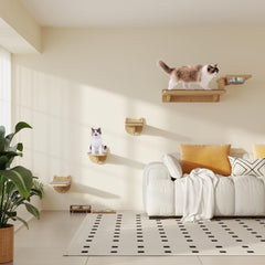 MeowHomm pine wood construction offers sturdy, scratch-friendly cat furniture.