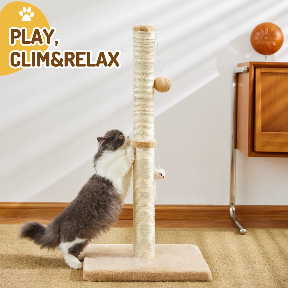 MeowHomm mouse toy adds interactive chasing on the post.