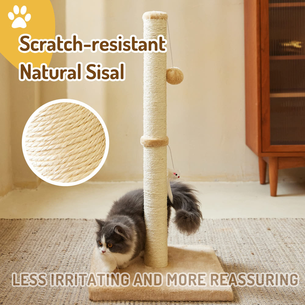 MeowHomm plush ball engages play and paw exercise for indoor cats.