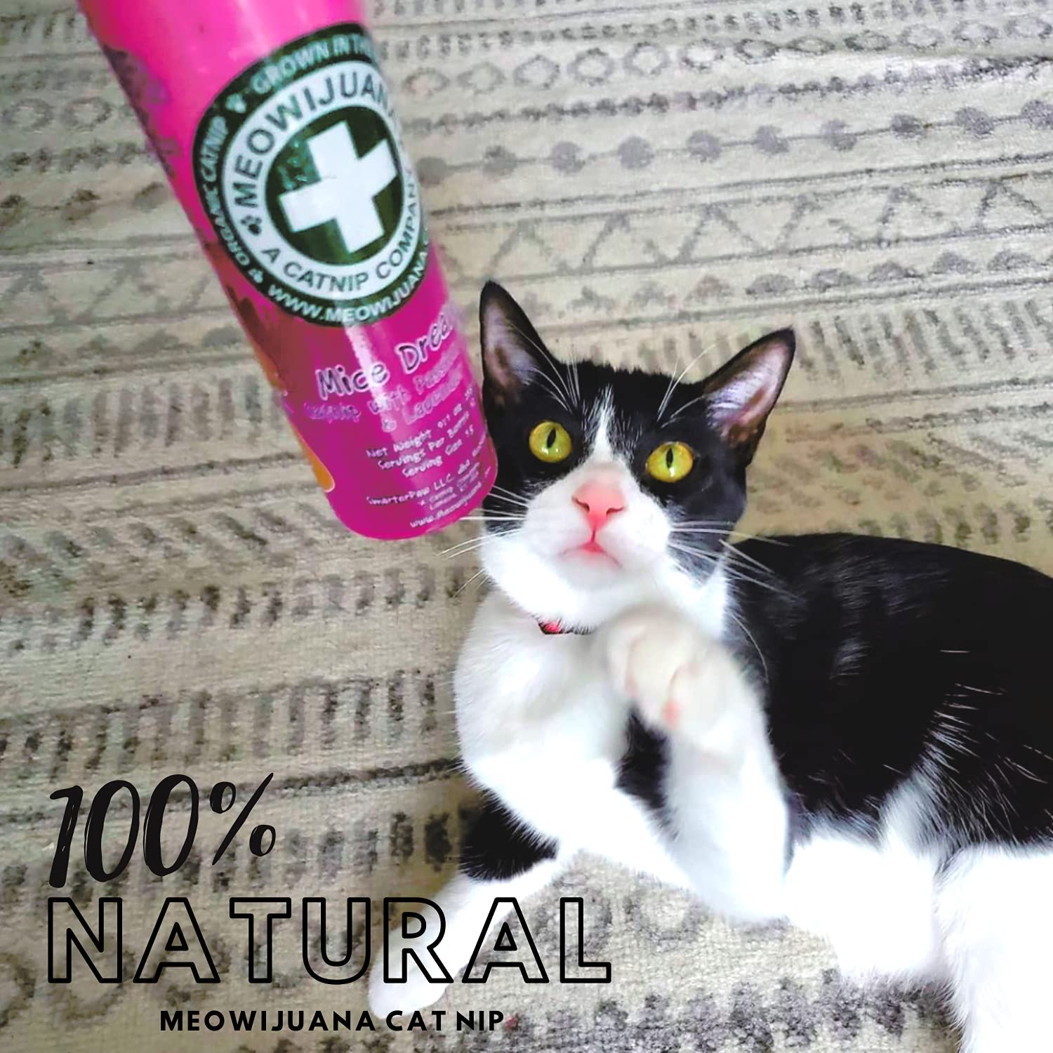 Meowijuana catnip on a toy for enriching play and exploration.