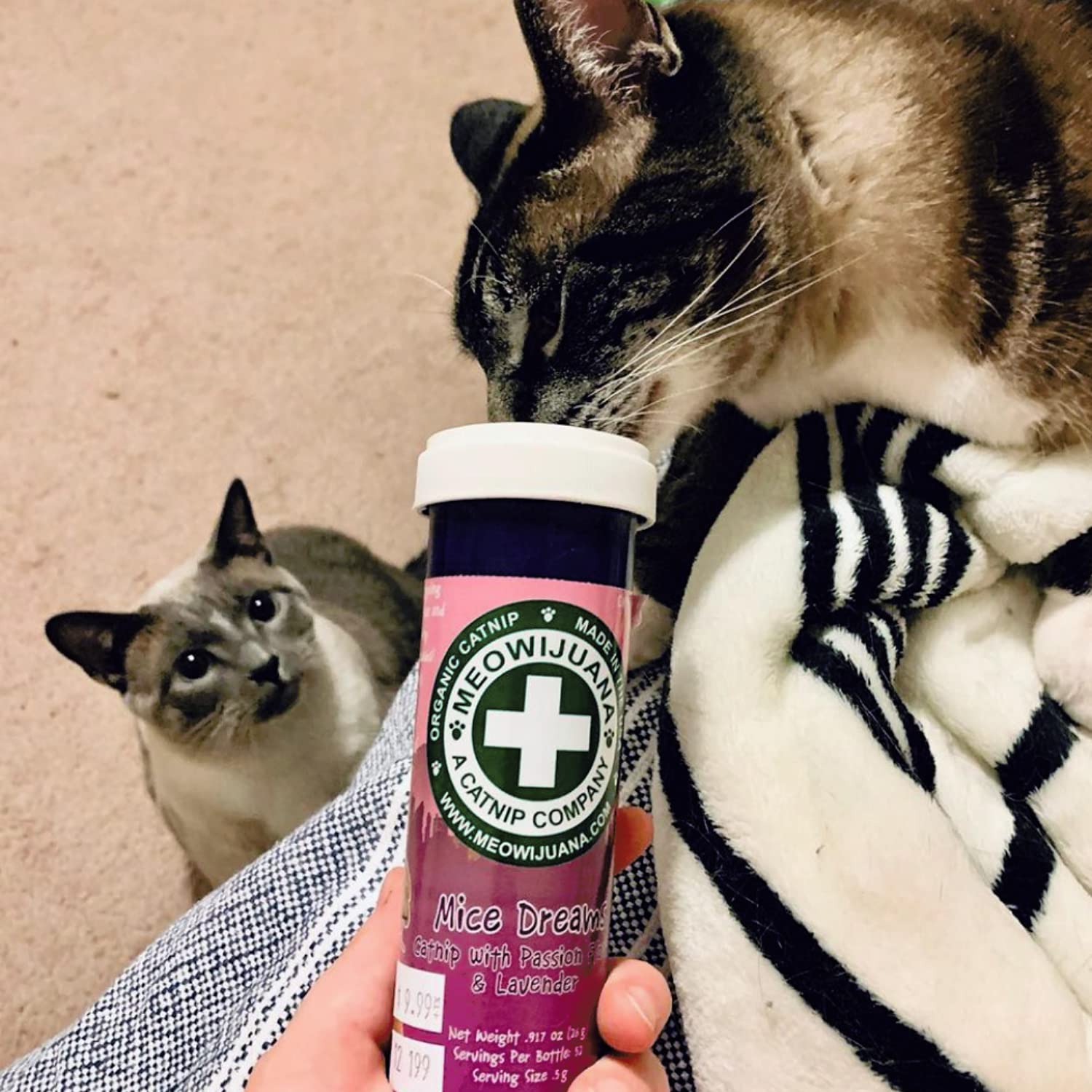 Meowijuana high-potency catnip leaf showing strong aroma for engagement.
