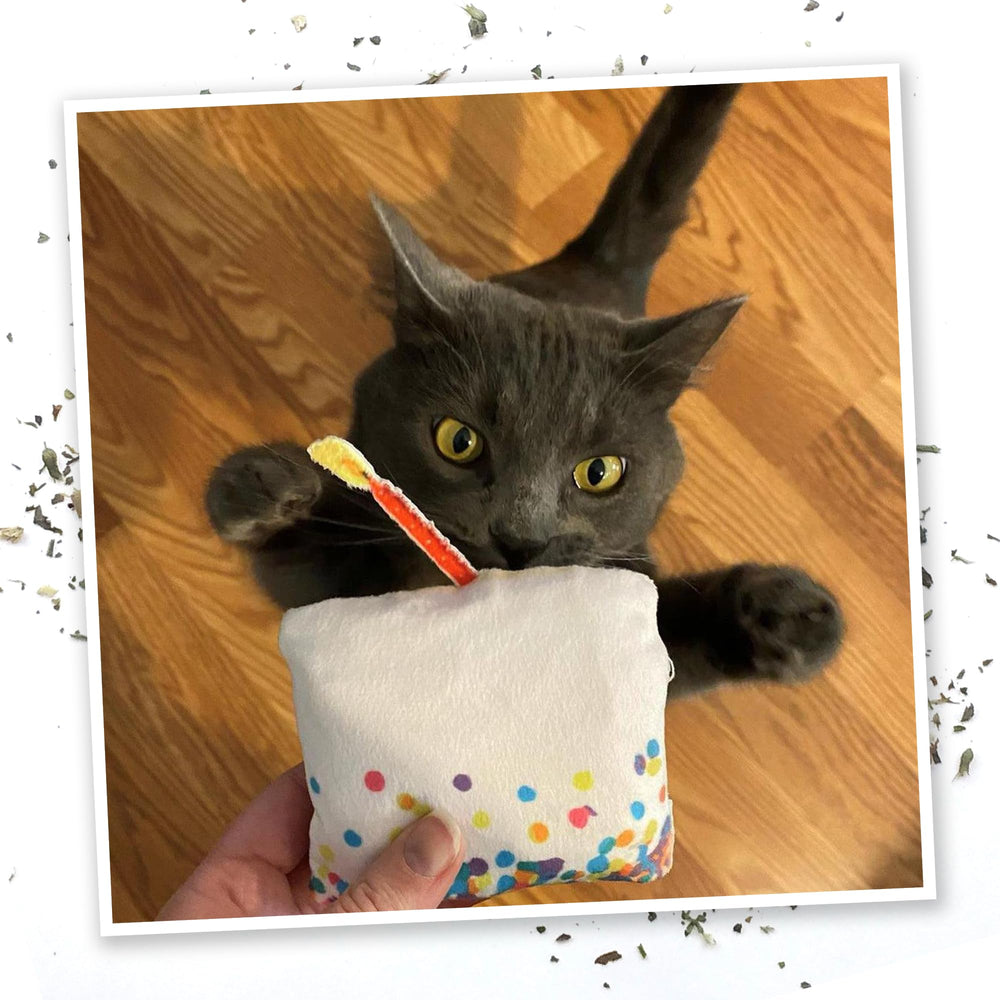 Meowijuana indoor cat playset arrangement demonstrates safe enrichment for cats.