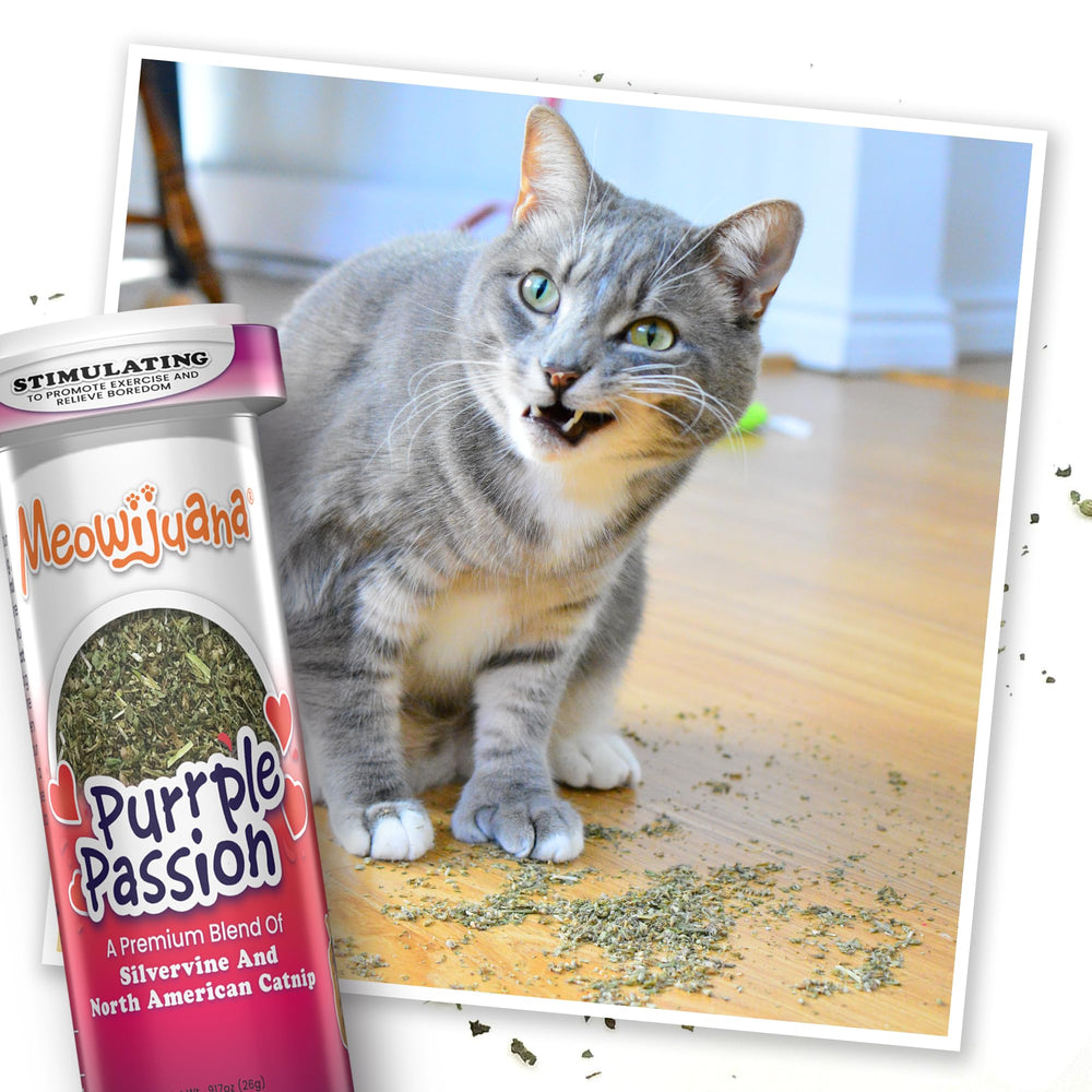 Meowijuana Purrple Passion combats boredom with sensory enrichment